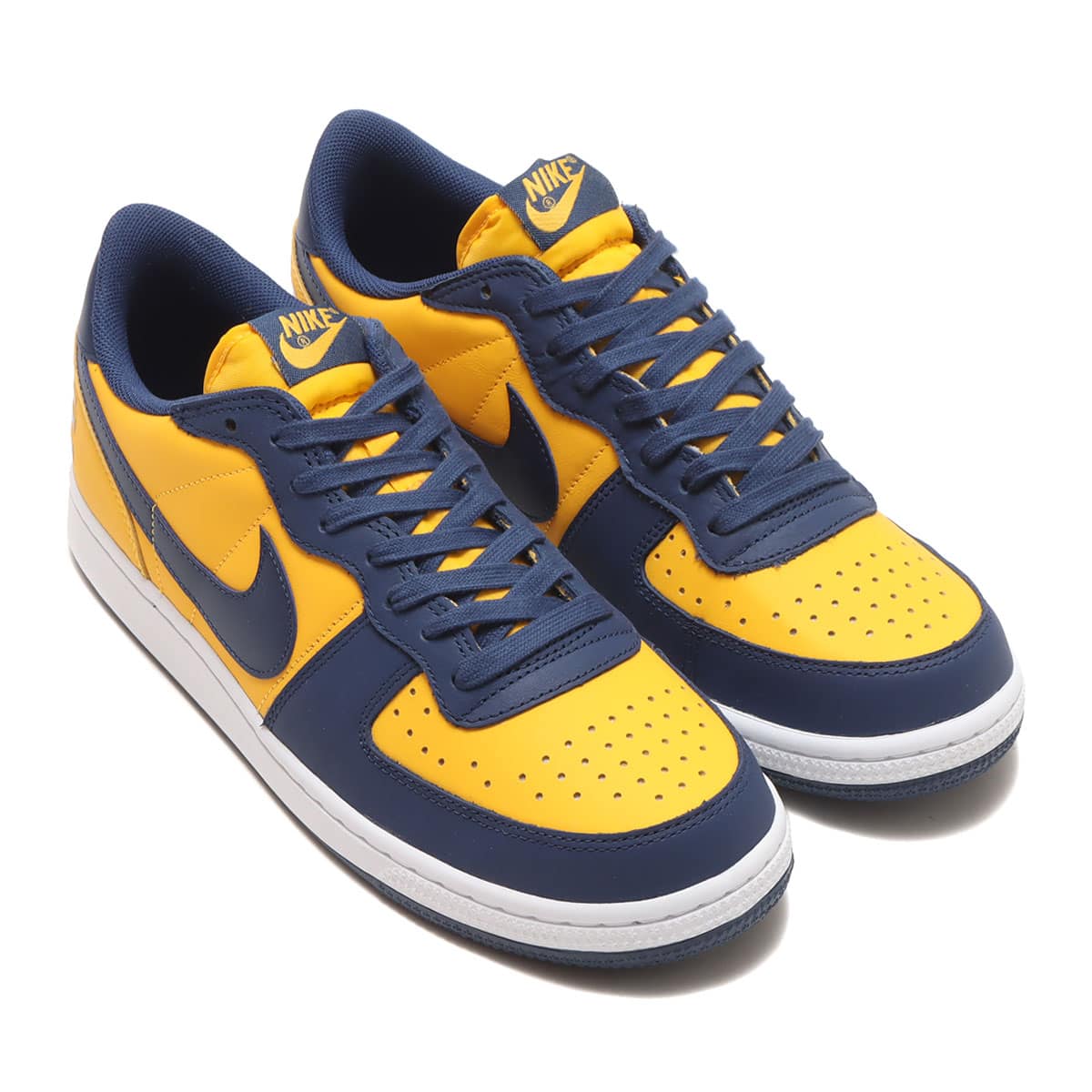 NIKE TERMINATOR LOW "MICHIGAN"  27.0㎝