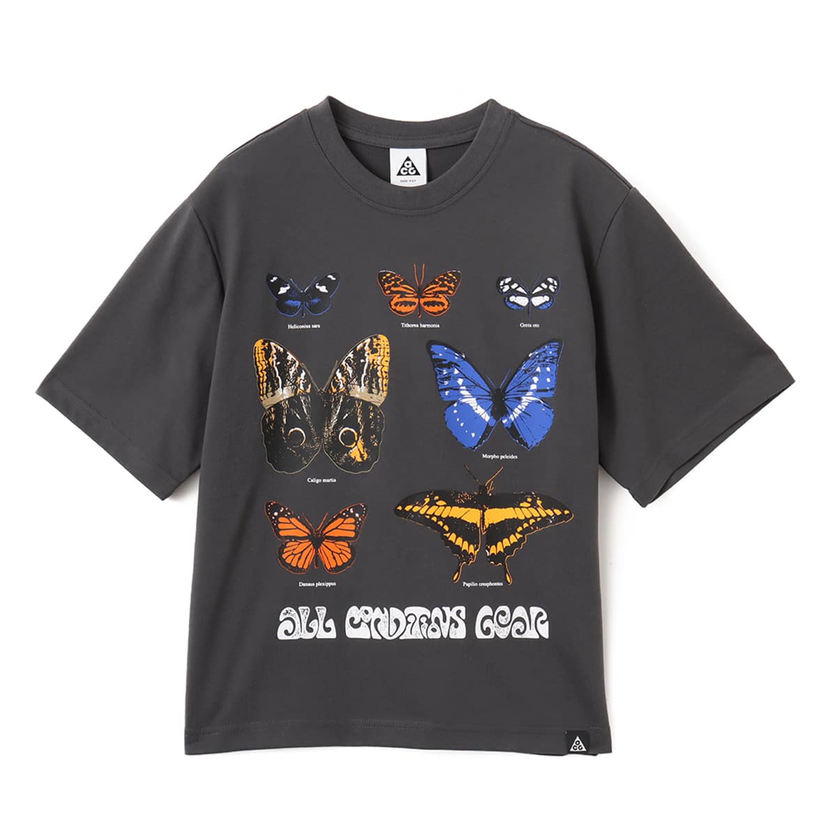 NIKE AS W NSW ACG TEE SP25 ANTHRACITE（ナイキ ウィメンズ NSW