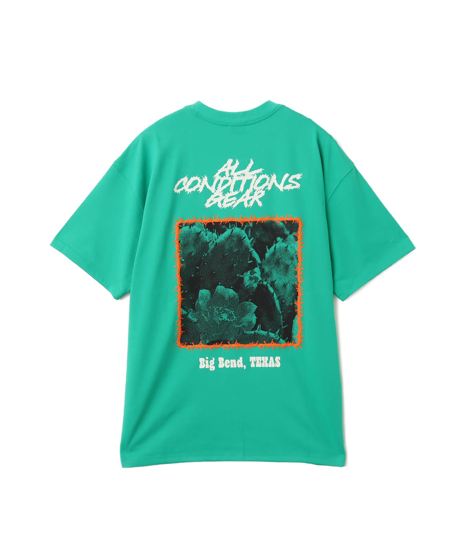 NIKE AS M ACG TEE OC CACTUS STADIUM GREENのメイン画像