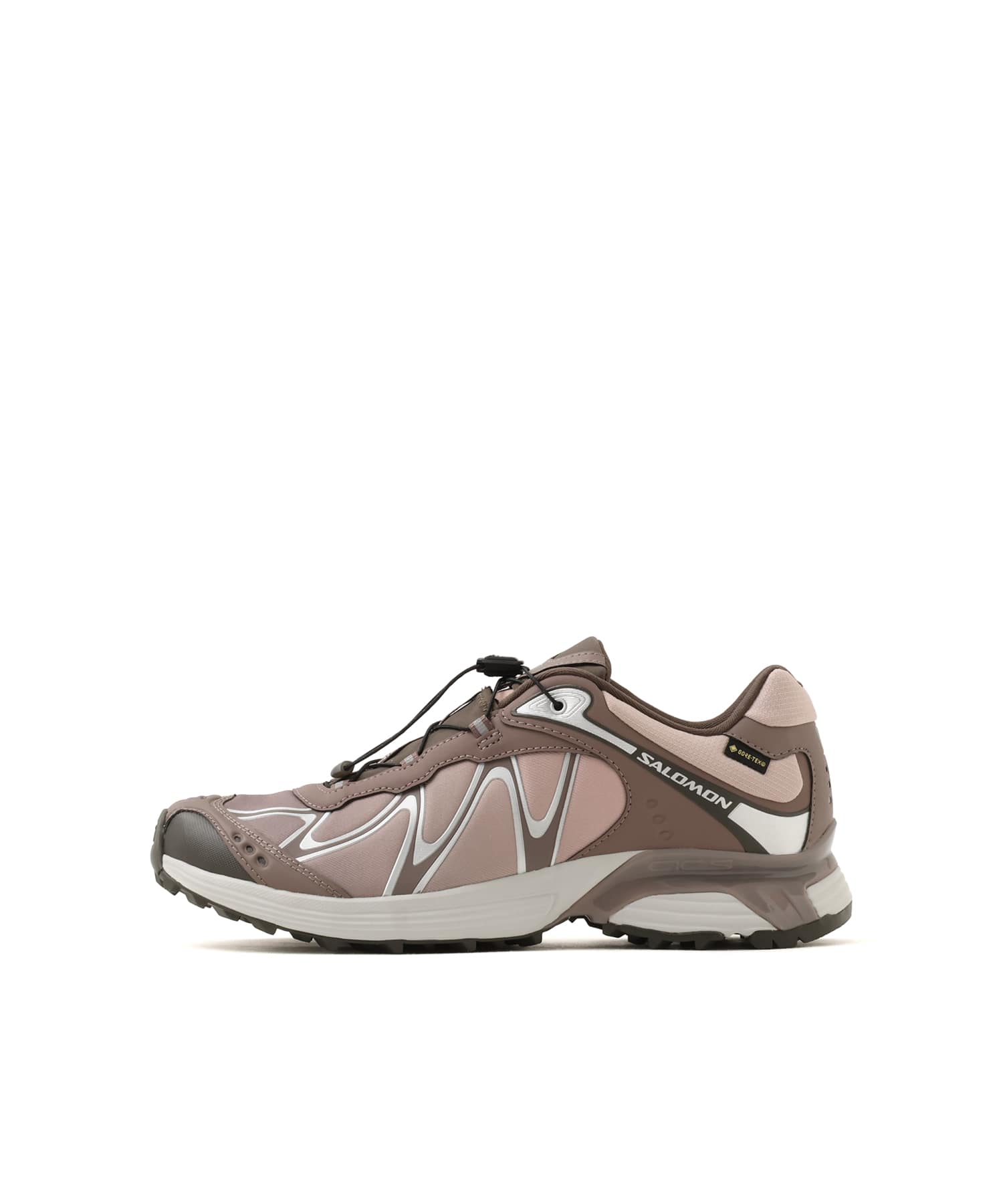 SALOMON XT-WHISPER GTX IRON/SHADOW GRAY/BLACK OLIVEのメイン画像