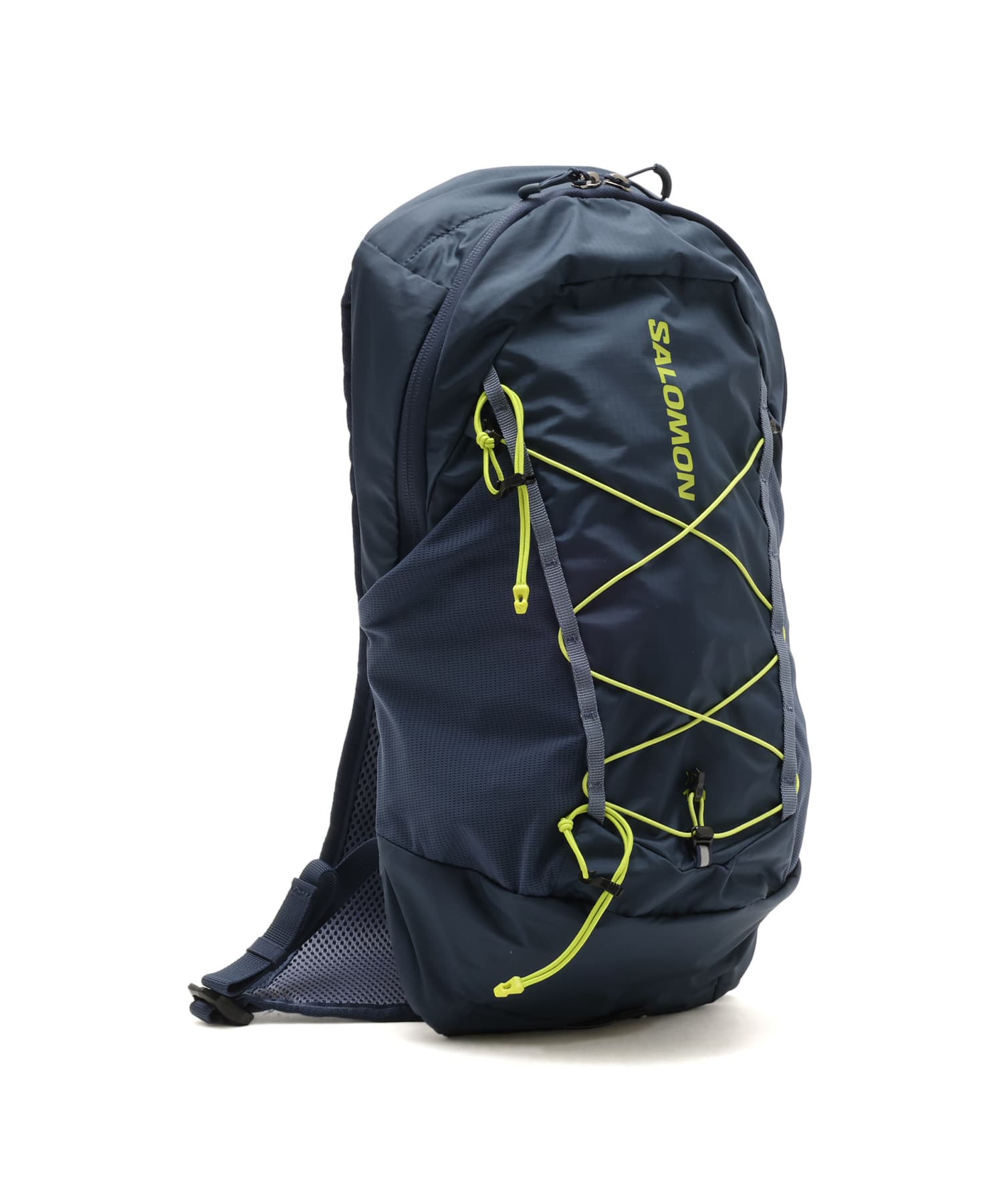 SALOMON XT 10 SPELLBOUND/GRISAILLE/BRIGHT CHARTREUSEのメイン画像