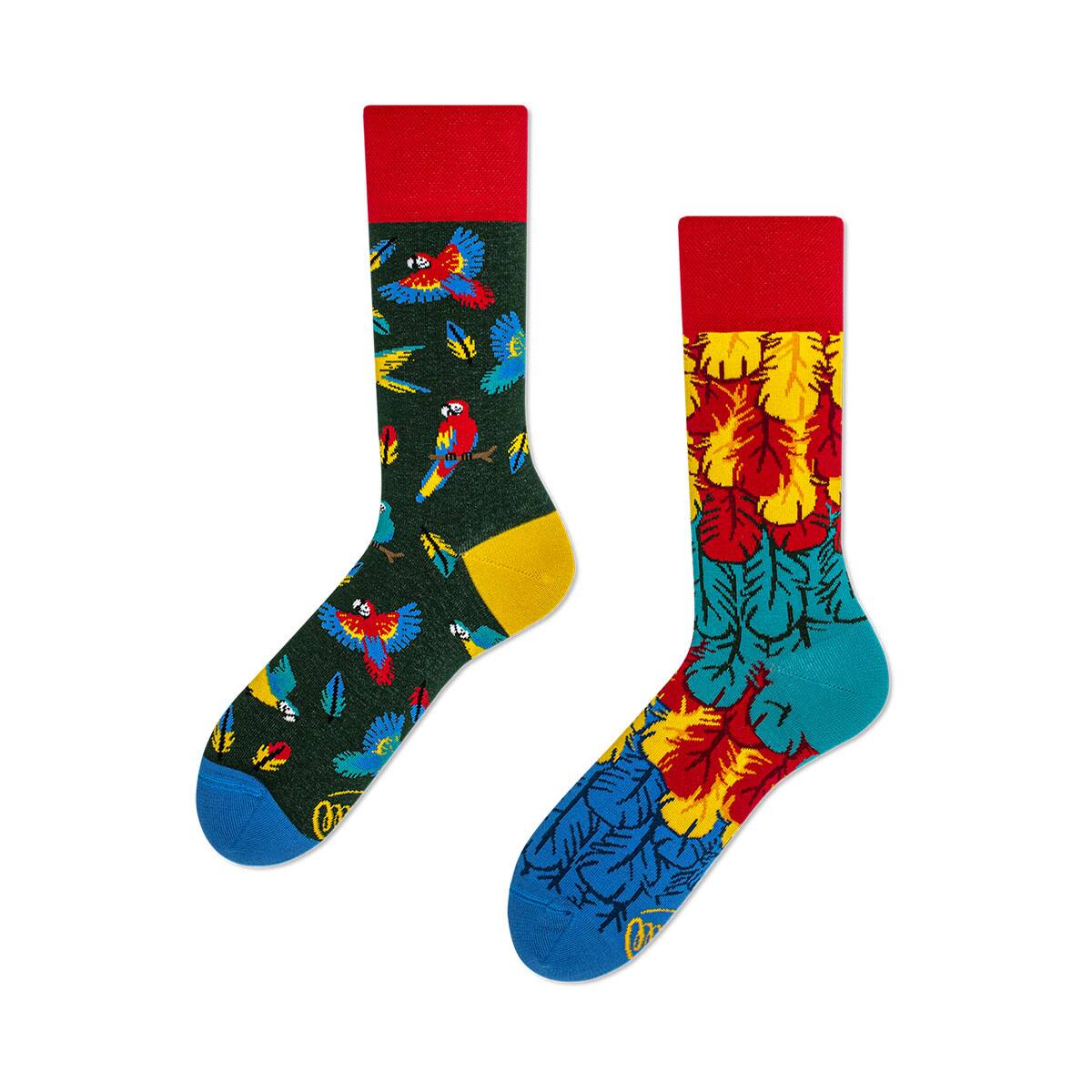 MANY MORNINGS Regular Socks Paradise Parrot 20FA-Iのメイン画像