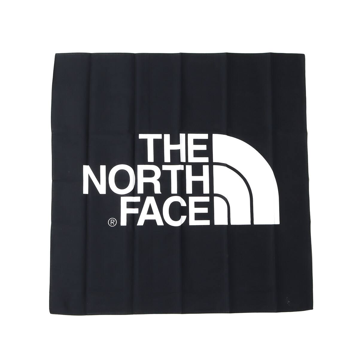 THE NORTH FACE TNF LOGO BANDANA BLACK 22SS-Iのメイン画像