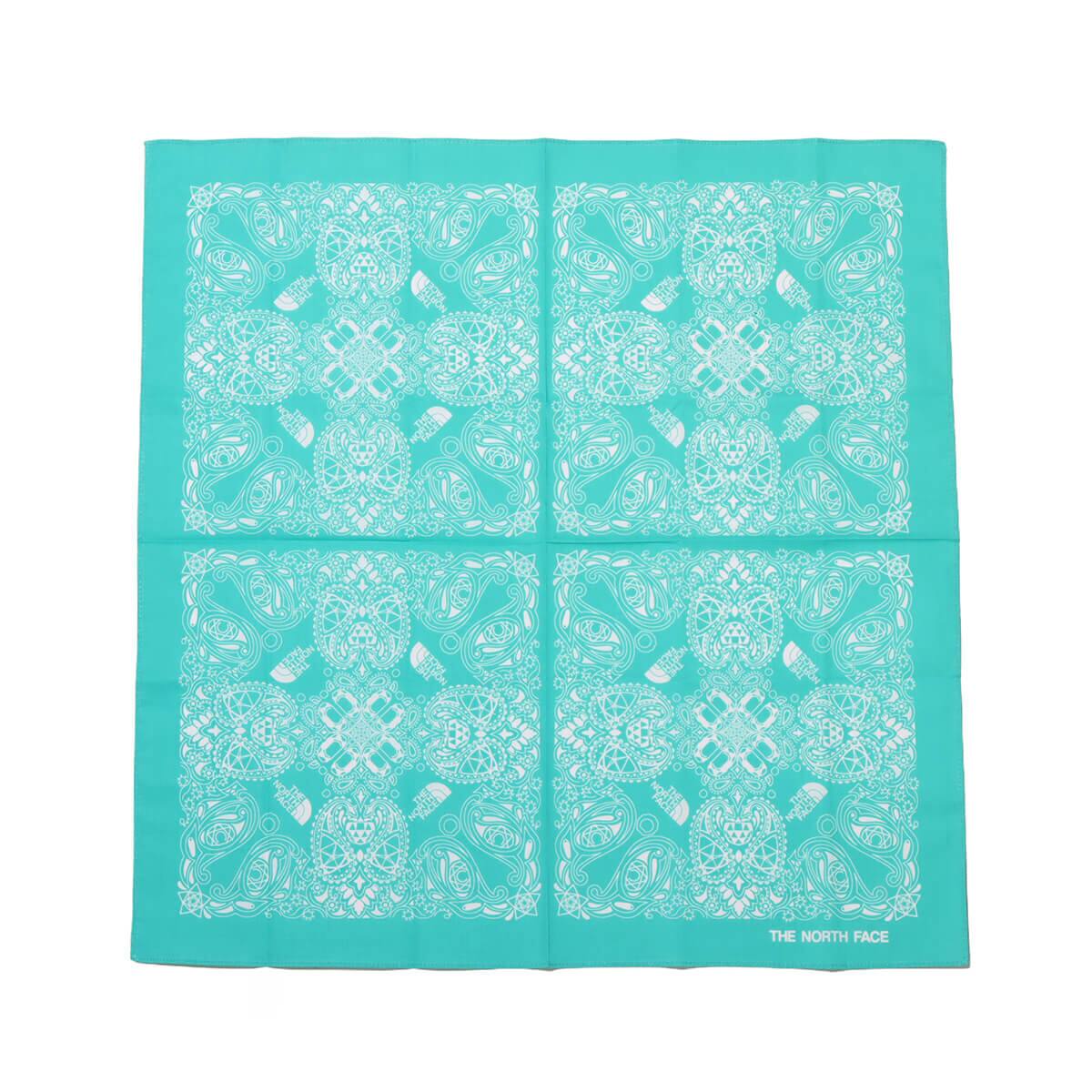 THE NORTH FACE Geodome® Paisley Bandana ガイザーアクア のメイン画像