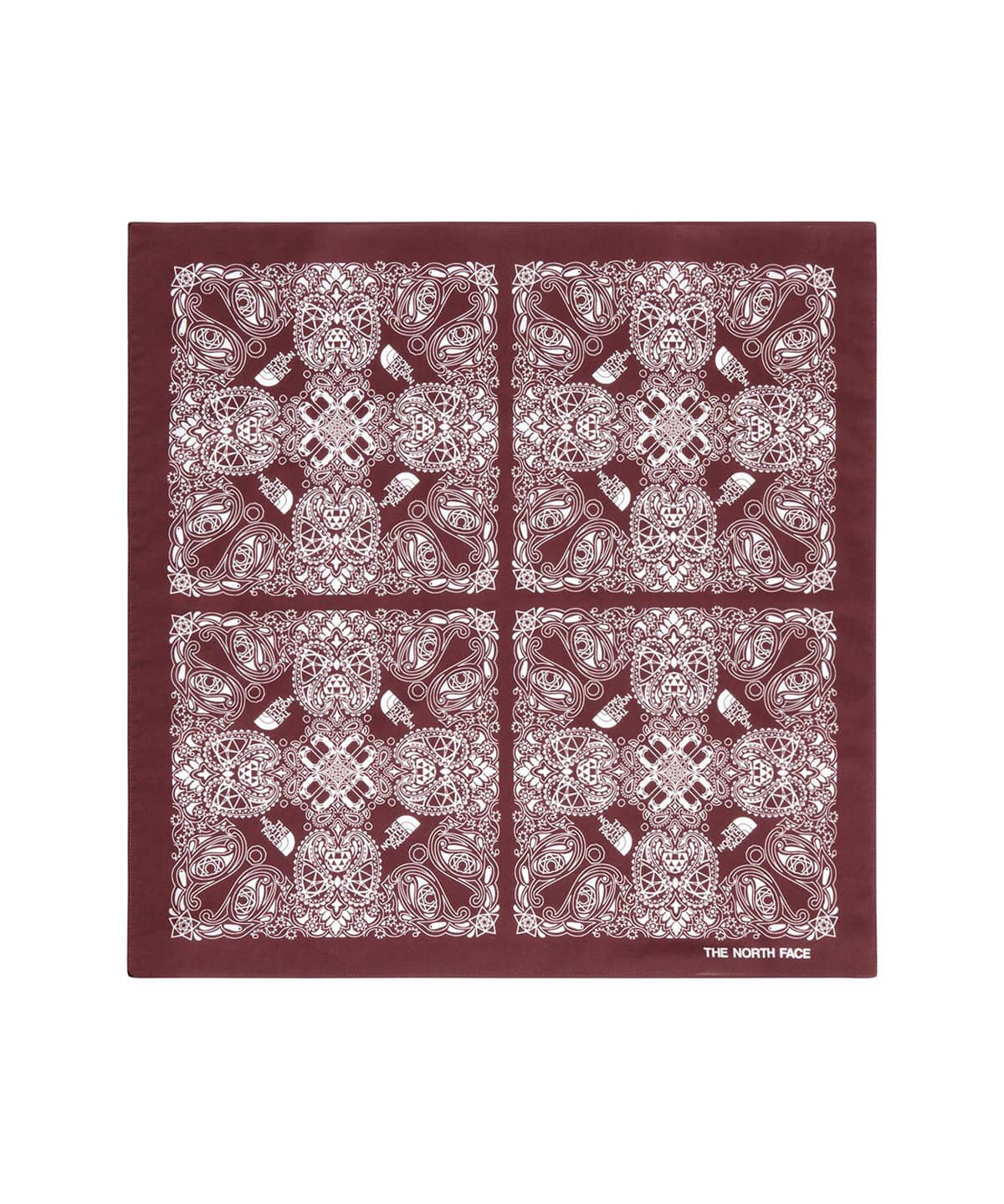 THE NORTH FACE Geodome® Paisley Bandana スマックのメイン画像