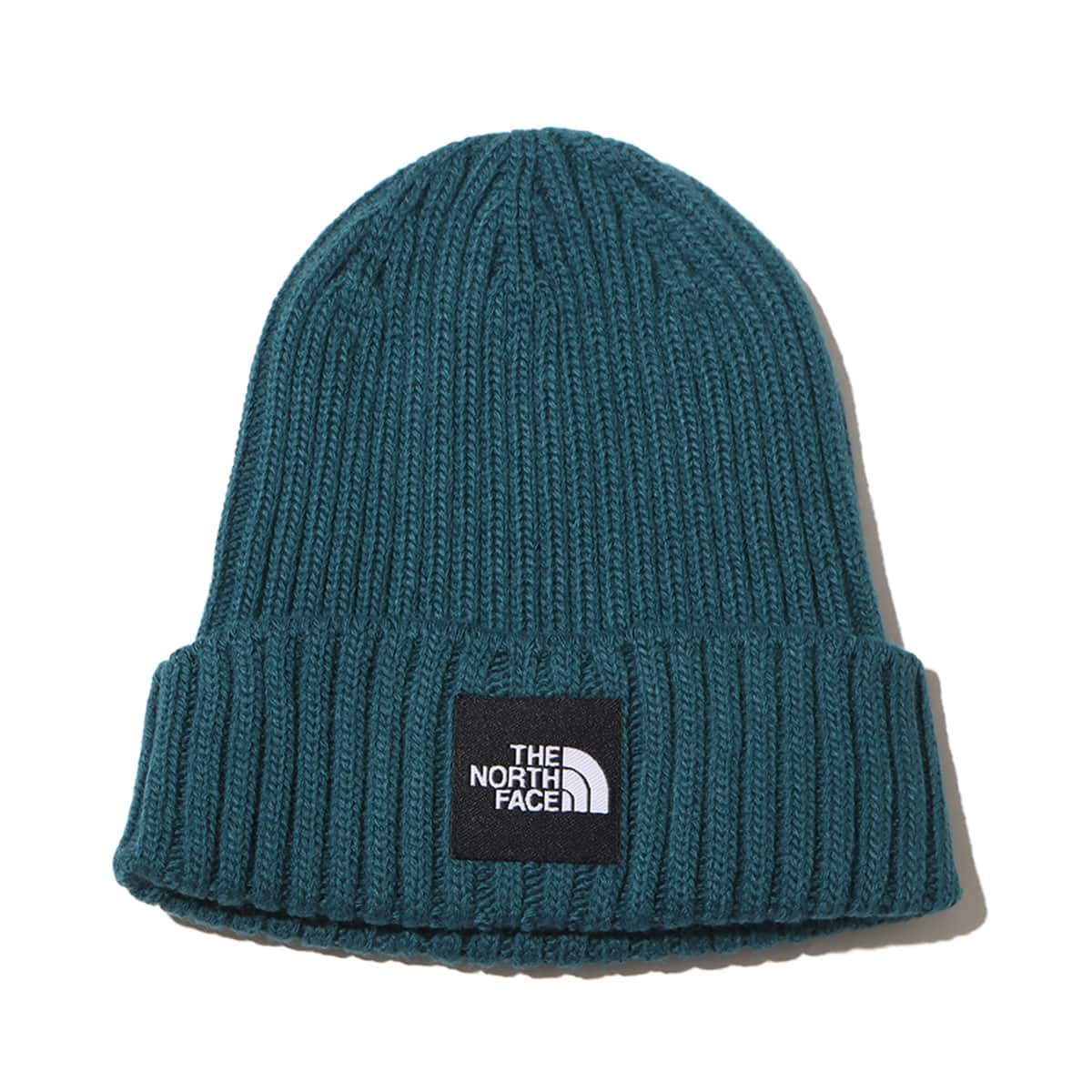 THE NORTH FACE CAPPUCHO LID Aグリーン 23FW-Iのメイン画像
