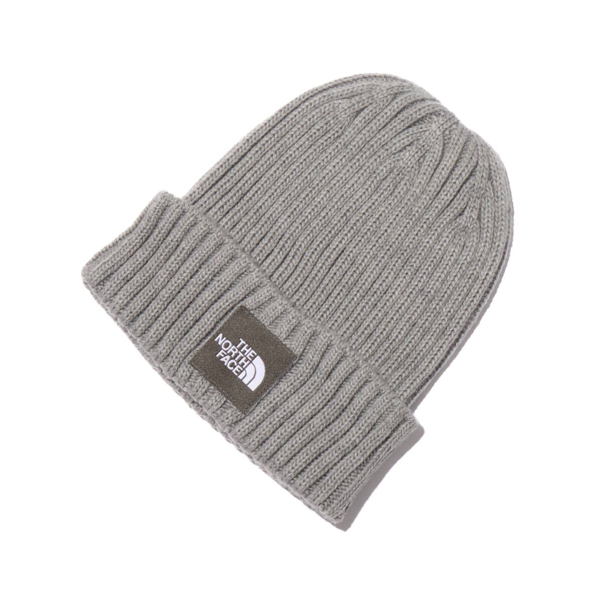 THE NORTH FACE CAPPUCHO LID MIX GREYのメイン画像