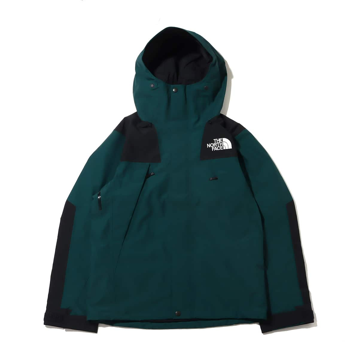 THE NORTH FACE MOUNTAIN JACKET ポンデローサグリーン 22FW-I