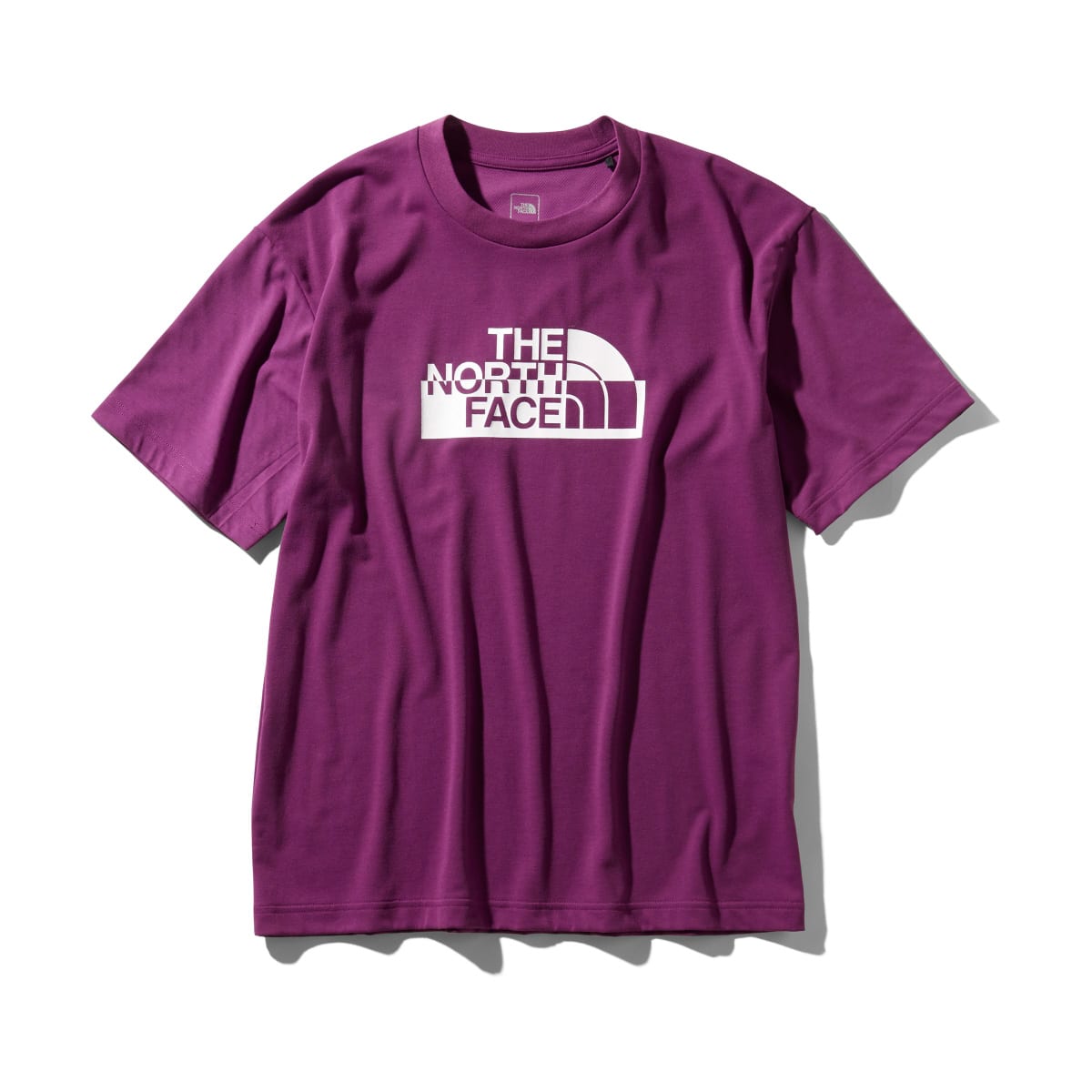 THE NORTH FACE S/S WATERSIDE GRAPHIC TEE フロックスパープル 19SS-I_photo_large