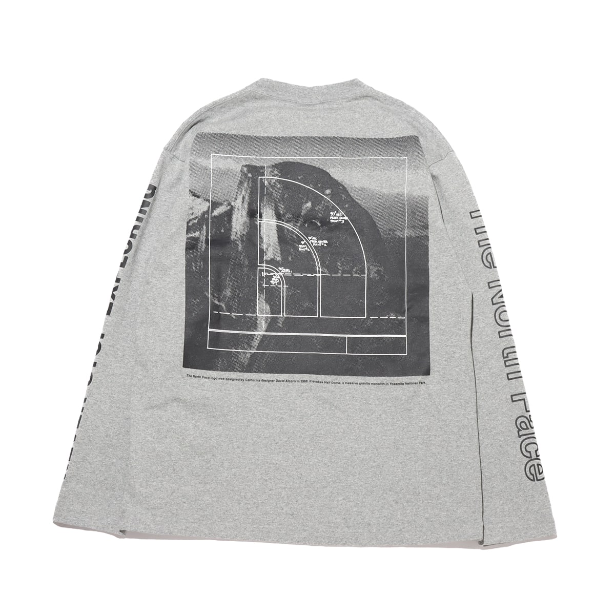 THE NORTH FACE L/S SLEEVE GRAPHIC TEE MIX GRAY 21SS-I_photo_large