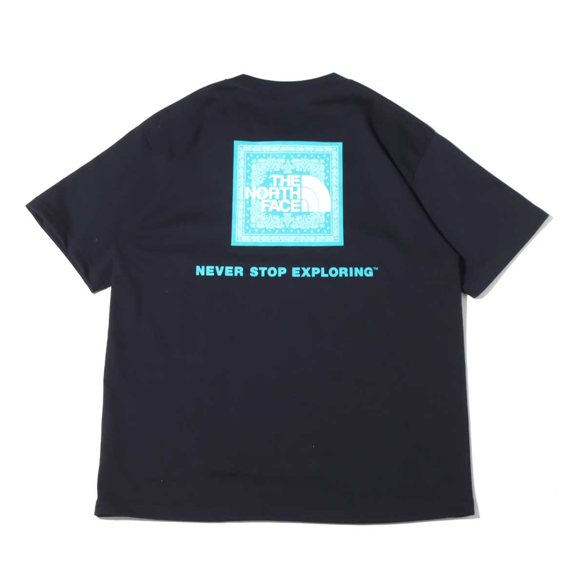 THE NORTH FACE S/S BANDANA SQUARE LOGO TEE アビエイターネイビー 22SS-I