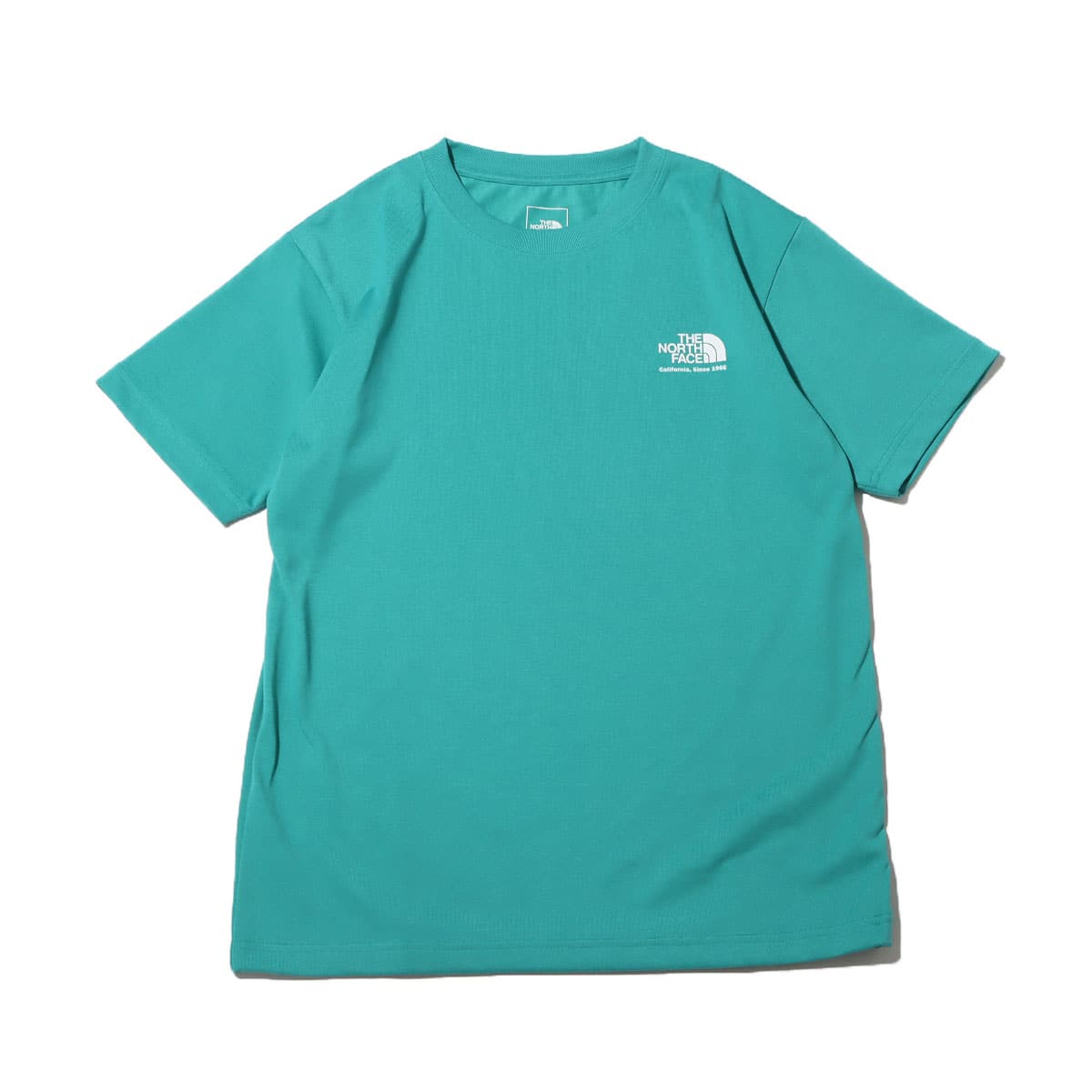 THE NORTH FACE S/S HISTORICAL LOGO TEE ポーセレングリーン 22SS-I_photo_large