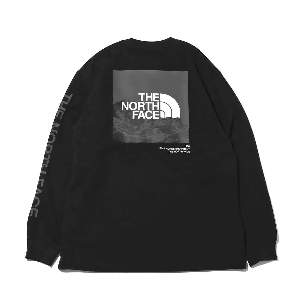 THE NORTH FACE L/S SLEEVE GRAPHIC TEE BLACK 23SS-I（ザ