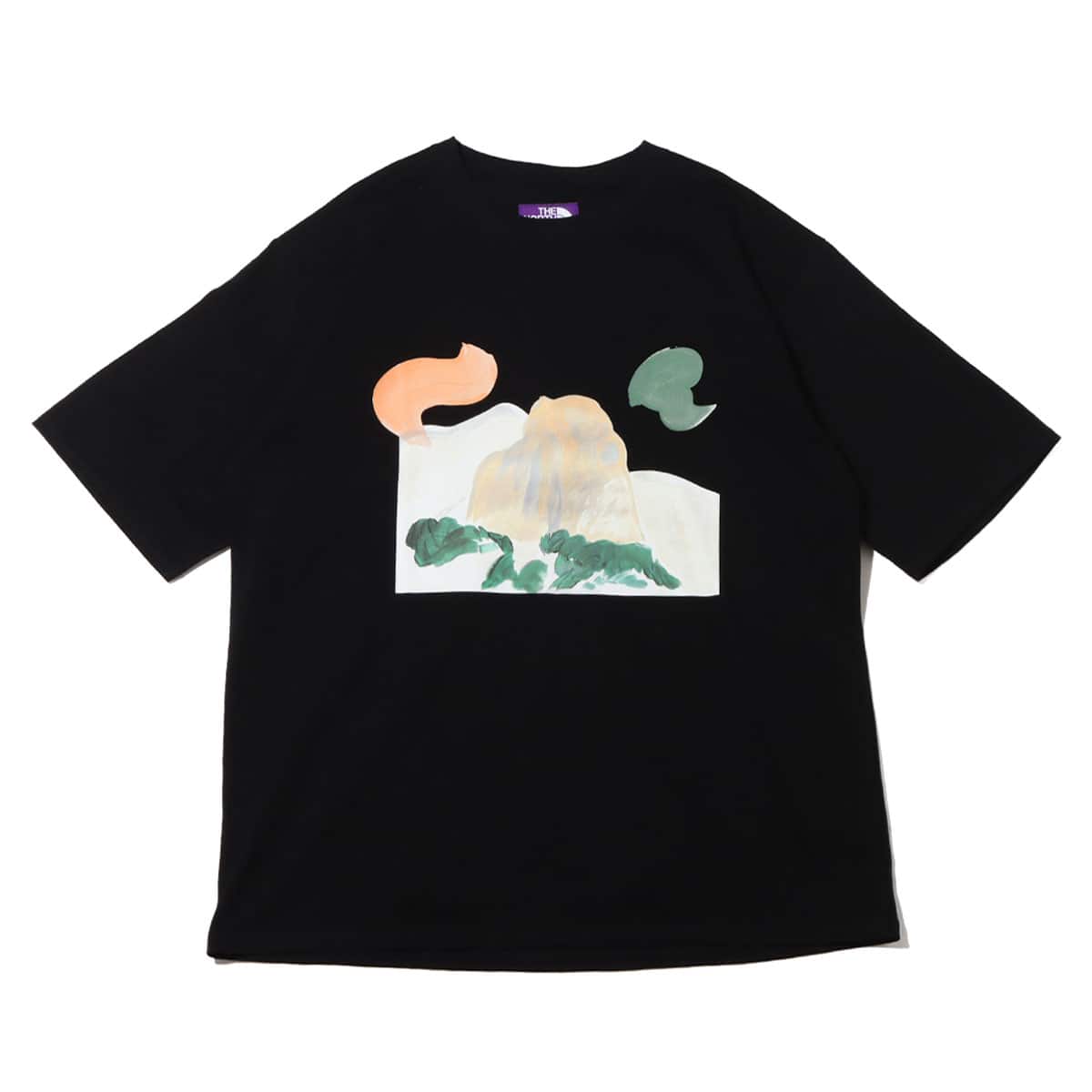 THE NORTH FACE PURPLE LABEL H/S Graphic Tee Black 23SS-I（ザ