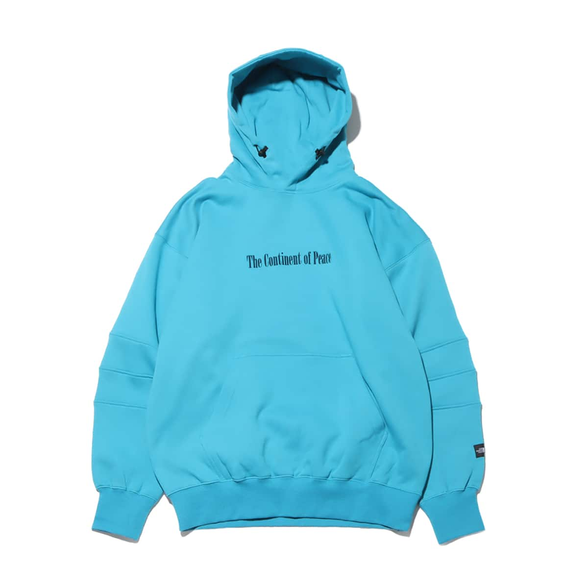 THE NORTH FACE TRANS ANTARCTICA HOODIE ジェイド2 23FW-I