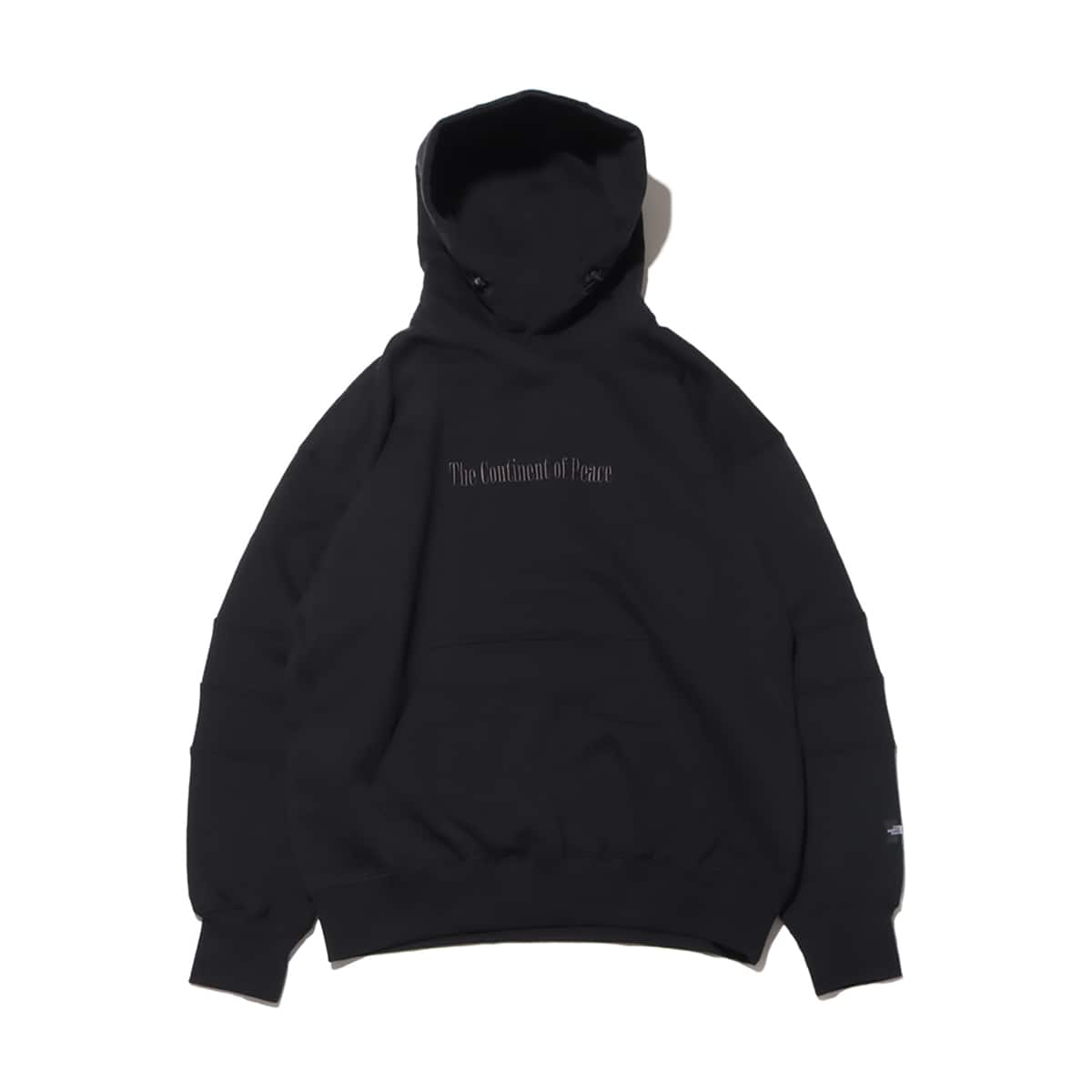 THE NORTH FACE TRANS ANTARCTICA HOODIE BLACK 23FW-I