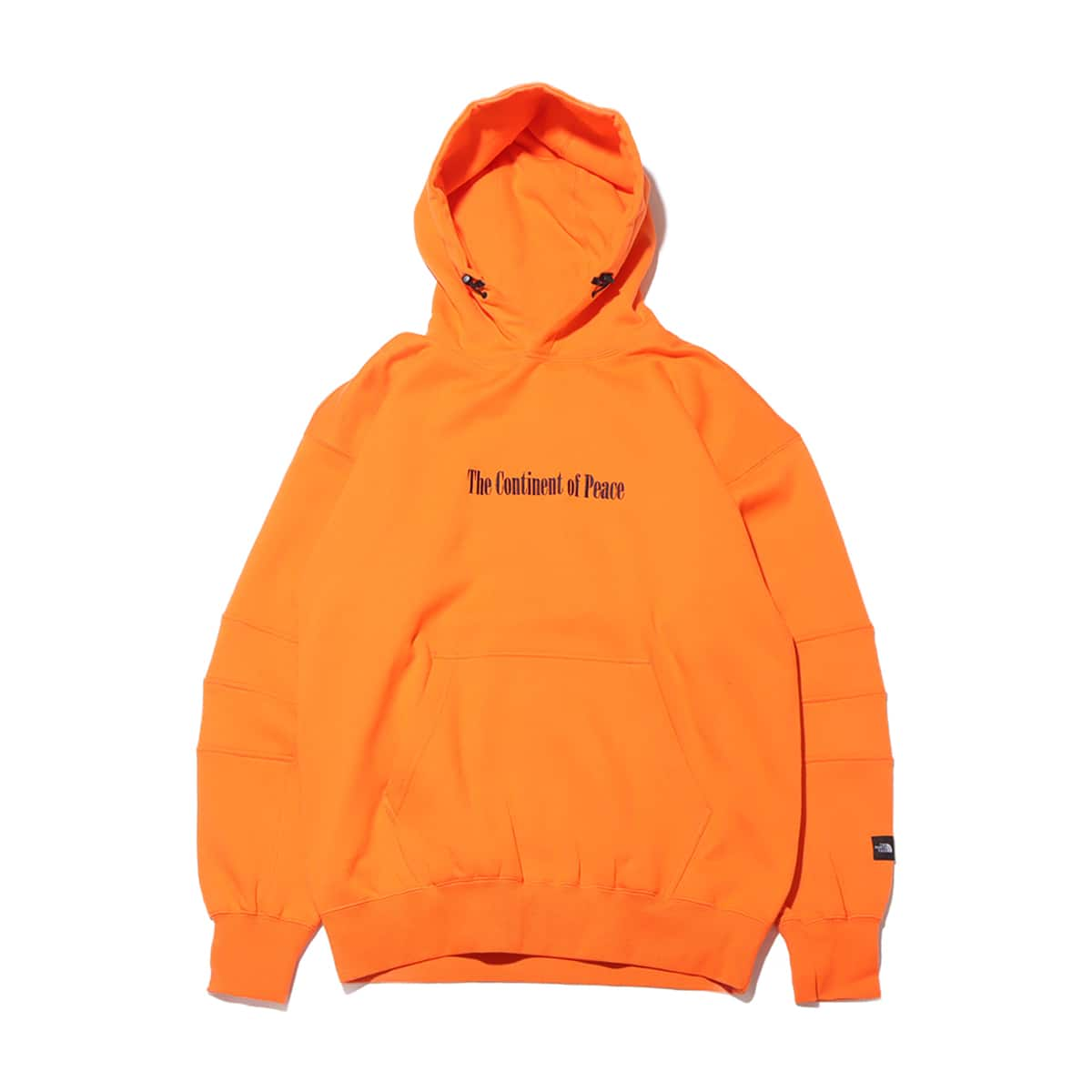 The north face antarctica 2024 hoodie