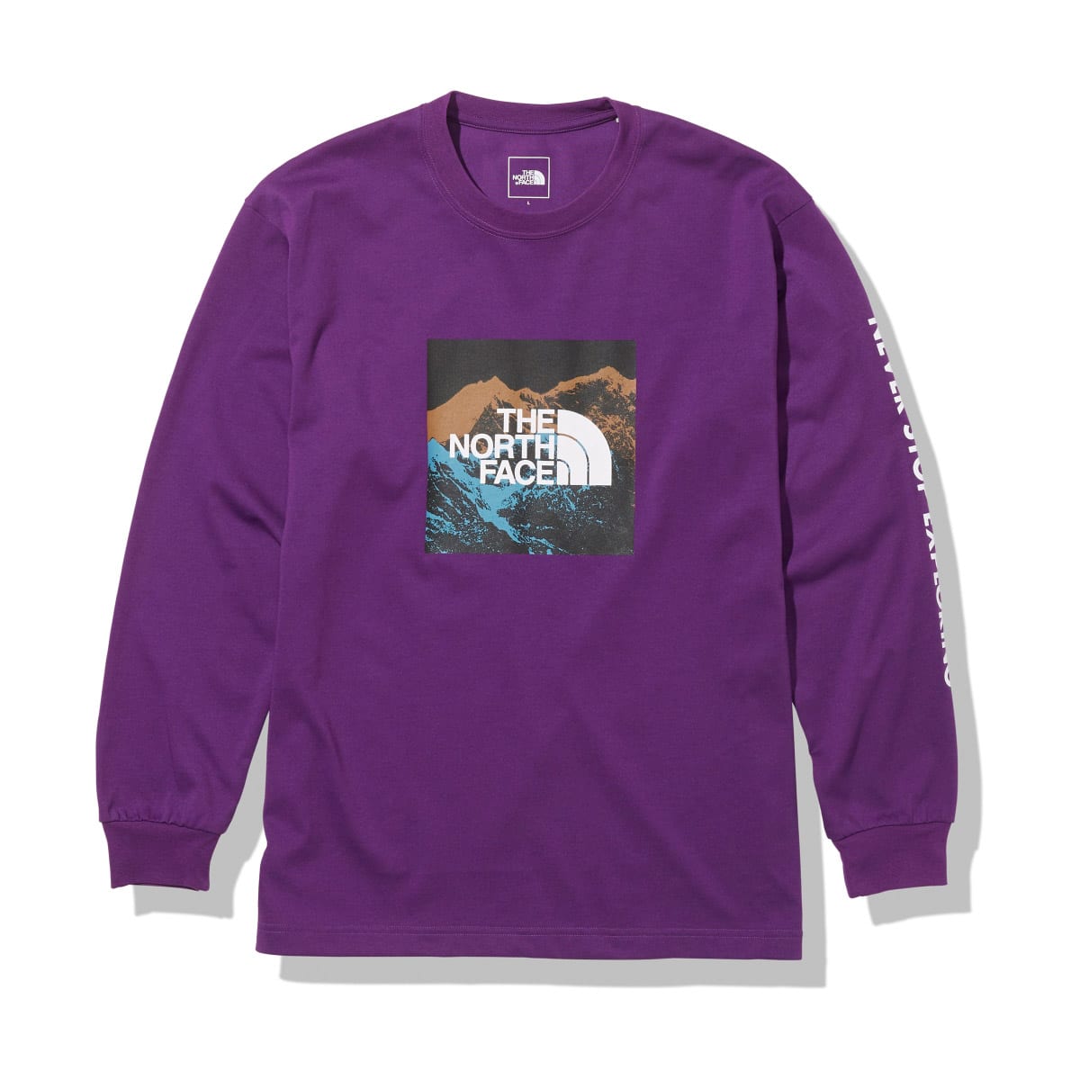 THE NORTH FACE L/S DIGITAL LOGO TEE グラビィティパープル