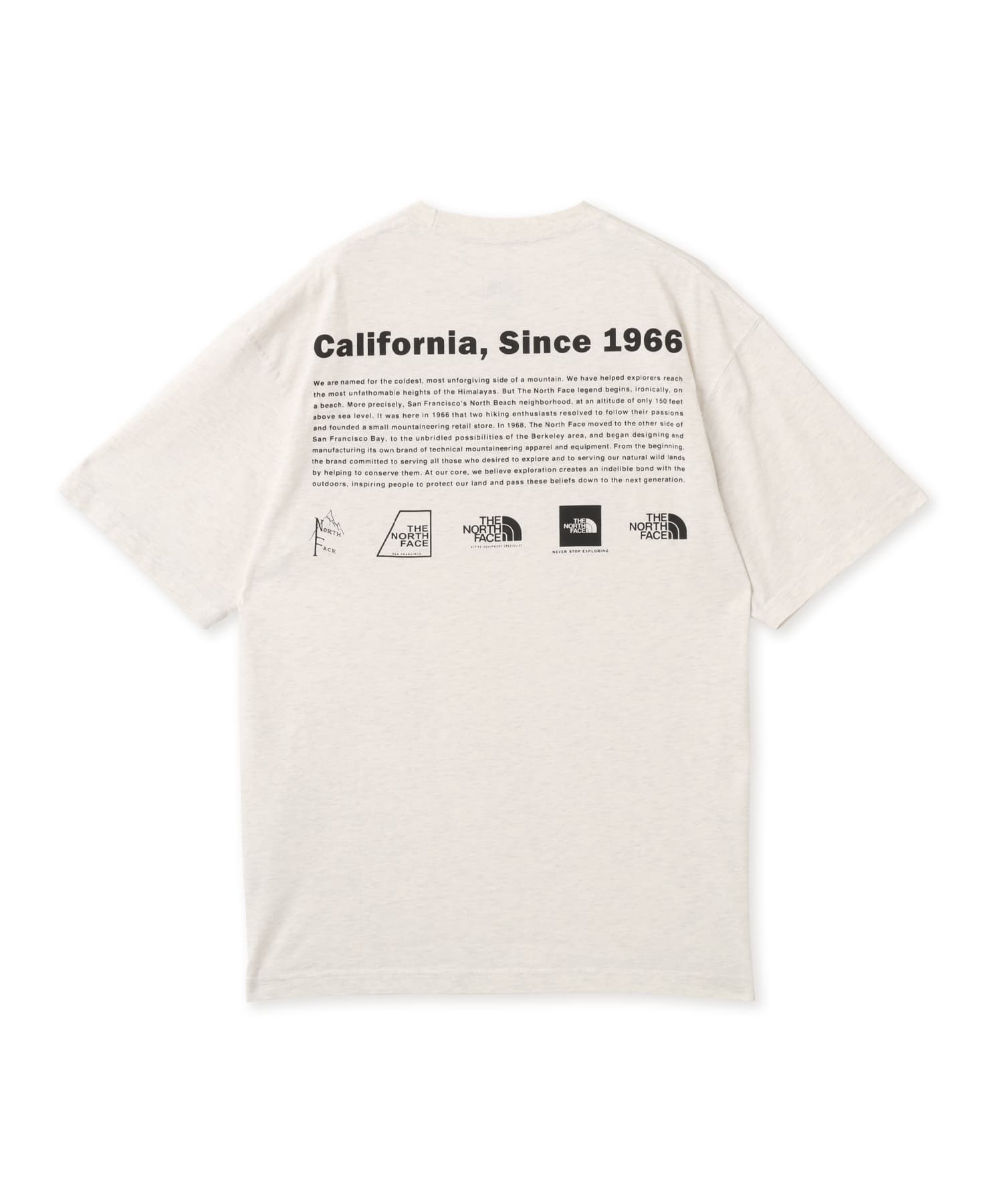 THE NORTH FACE S/S WASHED HISTORICAL LOGO TEE WMIXグレーのメイン画像