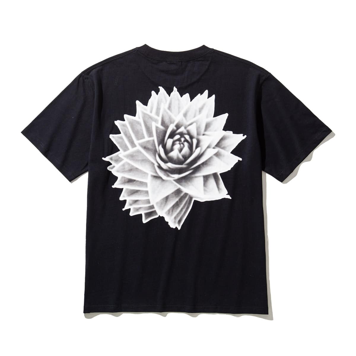 SOLID ROSE T-SHIRT BLACK 21SU-Iのメイン画像