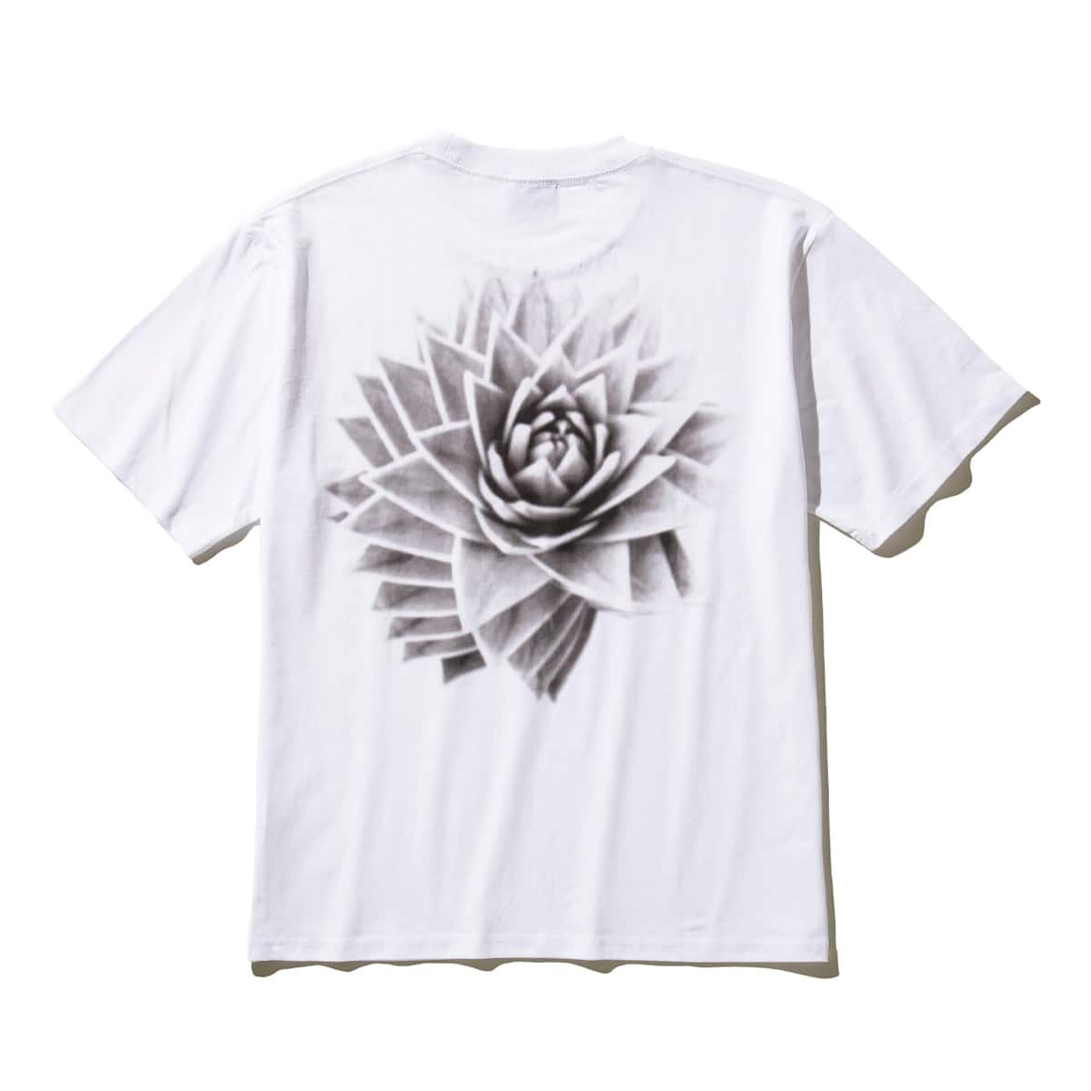 SOLID ROSE T-SHIRT WHITE 21SU-Iのメイン画像