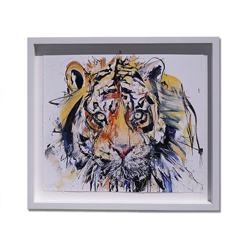 DAVE WHITE Tiger 19FW-I