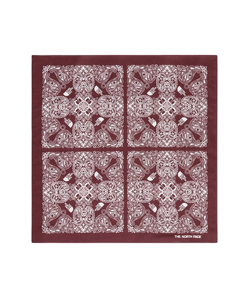 THE NORTH FACE Geodome® Paisley Bandana スマック