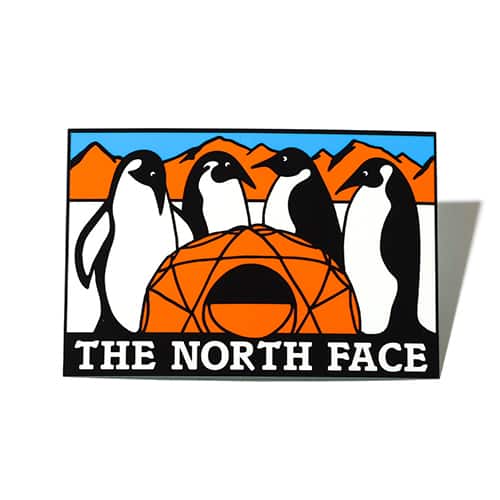 THE NORTH FACE TNF PRINT STICKER アンタークティカ 22SS-I