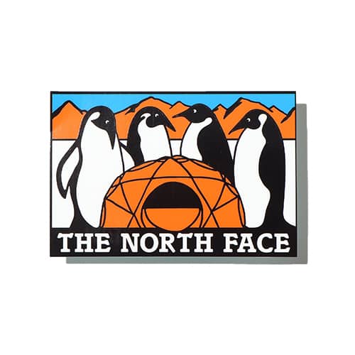 THE NORTH FACE TNF PRINT STICKER アンタークティカ 23SS-I