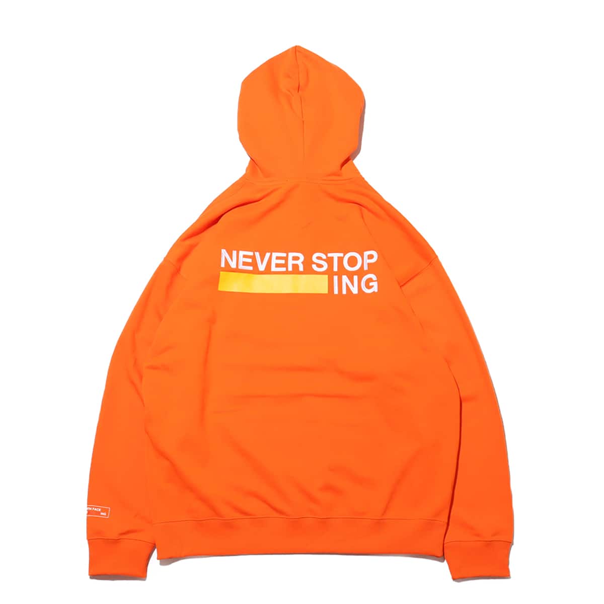 "THE NORTH FACE NEVER STOP ING Hoodie"