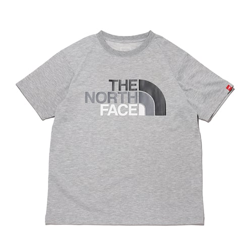 THE NORTH FACE S/S COLORFUL LOGO TEE MIX GRAY 22SS-I
