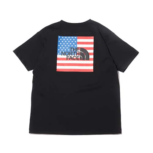 THE NORTH FACE S/S NATIONAL FLAG TEE BLACK 21SS-I