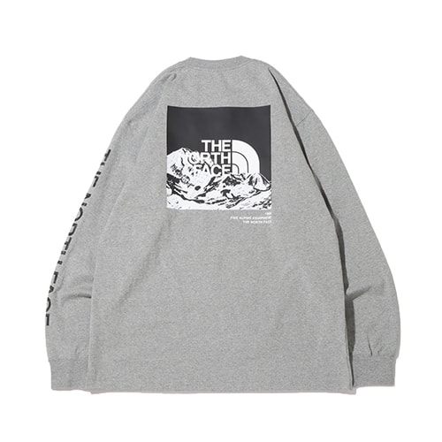 THE NORTH FACE L/S SLEEVE GRAPHIC TEE MIXGRAY 22SS-I