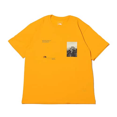 THE NORTH FACE S/S HALF DOME UNCHANAGED TEE サミットゴールド 23SS-I
