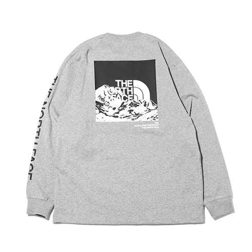 THE NORTH FACE L/S SLEEVE GRAPHIC TEE ミックスグレー 23SS-I