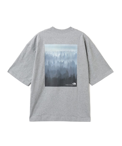 THE NORTH FACE S/S YOSEMITE SCENERY TEE ミックスグレー2