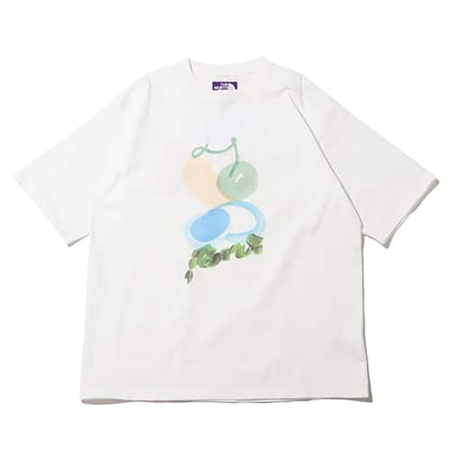 THE NORTH FACE PURPLE LABEL H/S Graphic Tee Urban Oasis 23SS-I
