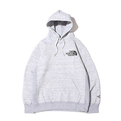 THE NORTH FACE BACK HALF DOME HOODIE ミックスグレー 21FW-I